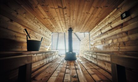 Sauna Diplomacy: Exploring Finland’s Hot-and-Cold Tradition